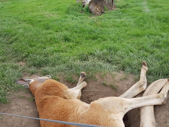 Zoopark Stěžery