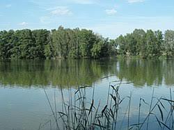 Bohumilecsky rybnik