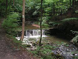 Zlaty potok