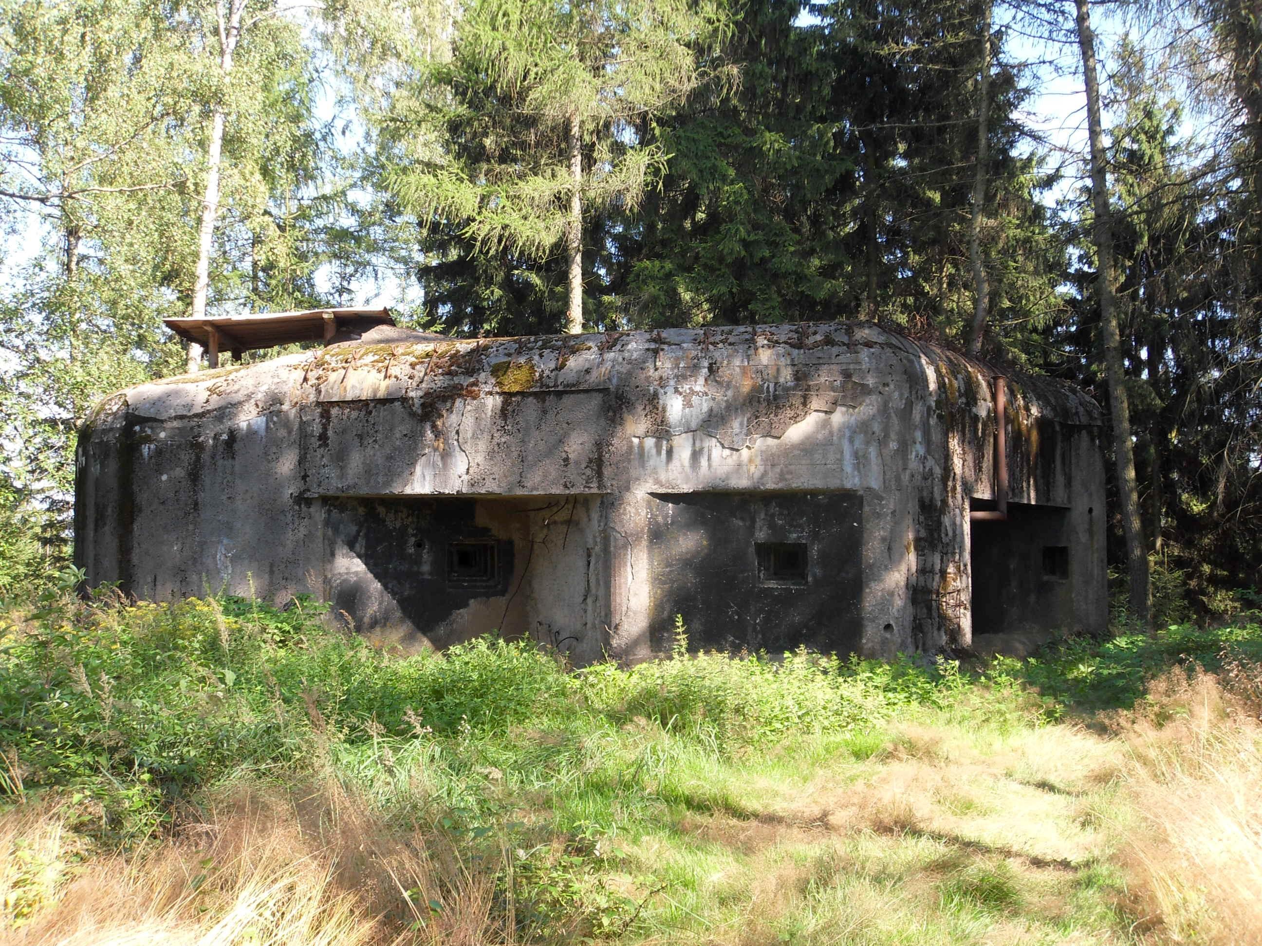 T-s 28