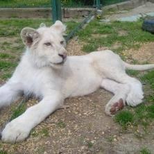 Biopark Stit